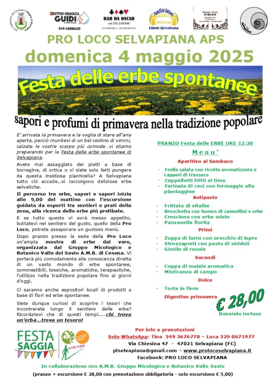 Festa delle Erbe Spontanee a Selvapiana
